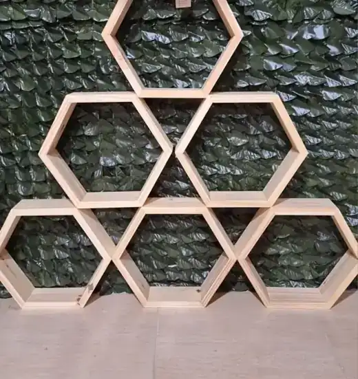 Hexágonos