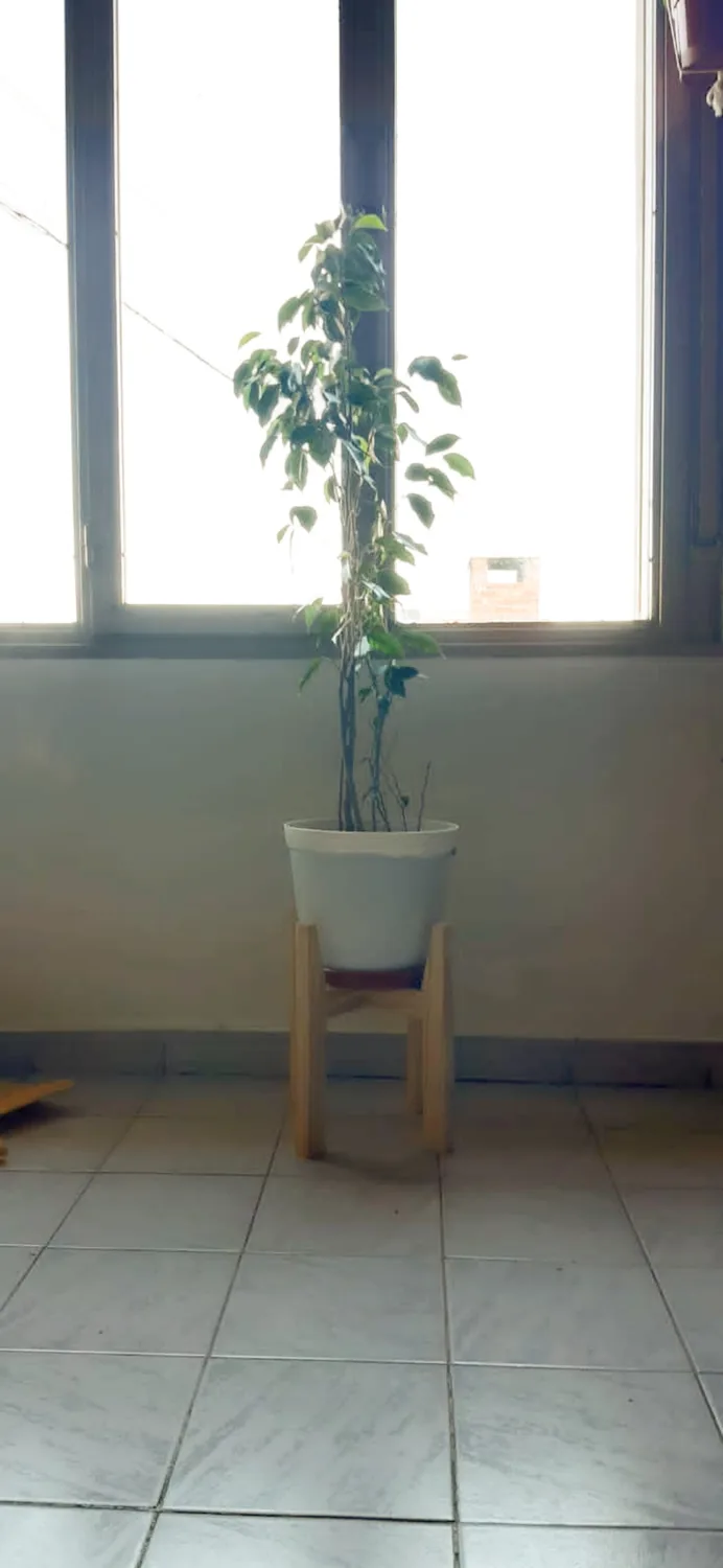 Foto enviada por un cliente, 18