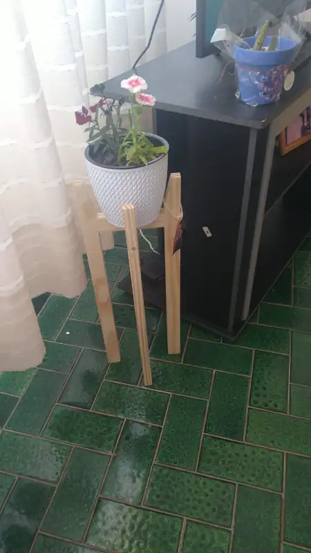 Foto enviada por un cliente, 53