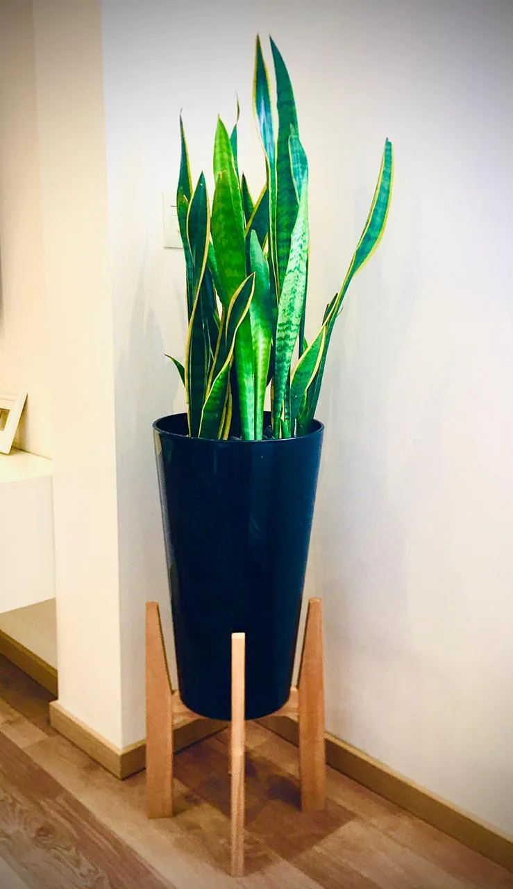 Foto enviada por un cliente, 24