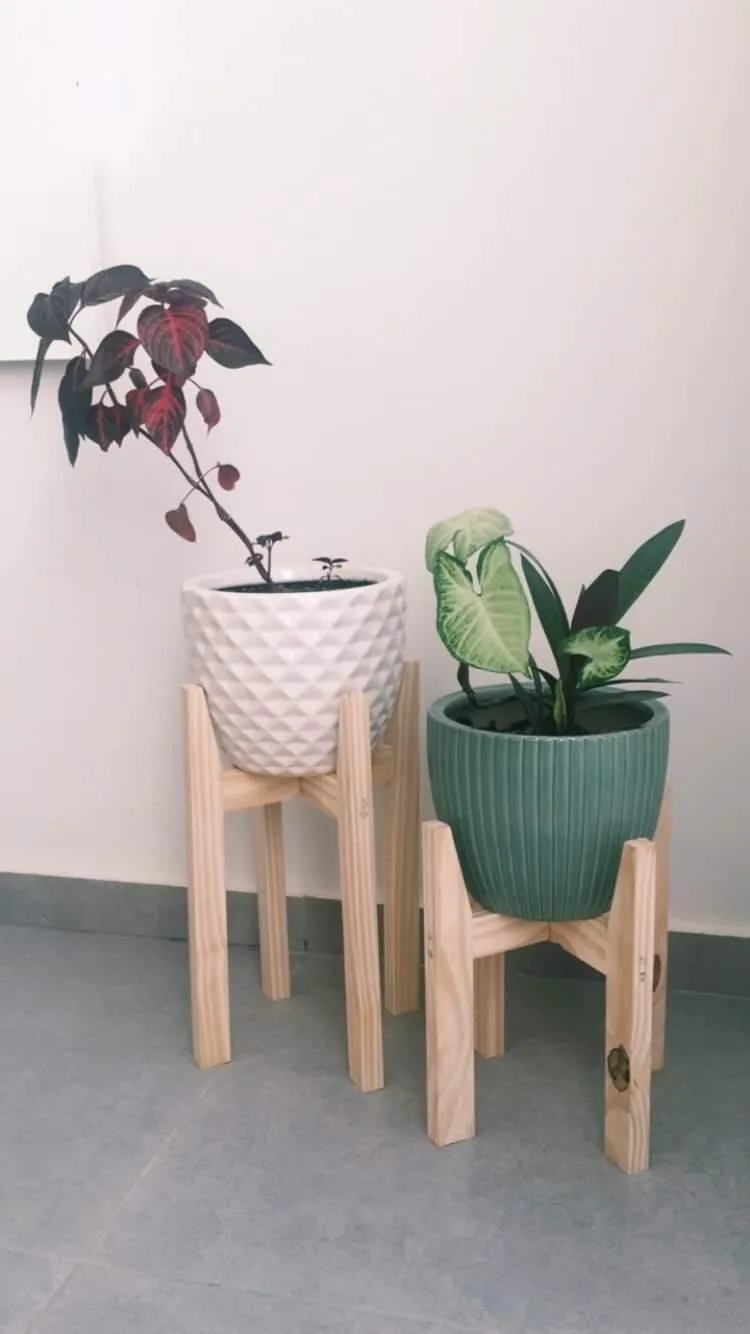 Foto enviada por un cliente, 17